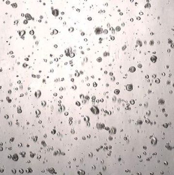 3dGRO® Colorectal Organoids (CSC.240)