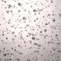 3dGRO® Colorectal Organoids (CSC.240)