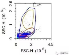 601002  PBMC高效离心管 15ml  5支/包
