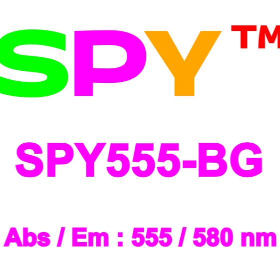 SPY555-BG 苯二唑烷衍生物