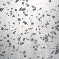 3dGRO® Pancreatic Organoids (PPTO.93)