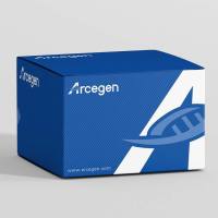 通用qPCR染料法预混液（无需调节ROX）