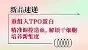 新品速递 | 重组人TPO蛋白震撼上市！精准调控造血，解锁干细胞培养新维度-同立海源