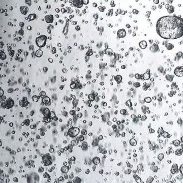 3dGRO® Pancreatic Organoids (PPTO.76)