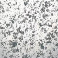 3dGRO® Colorectal Organoids (CSC.421N)