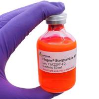 链霉亲和素-藻红蛋白偶联物/SA-PE