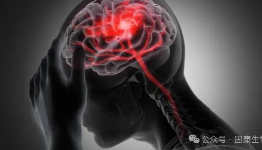 固康引进创伤性脑损伤标志物抗体