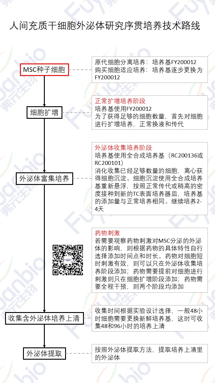 间充质干细胞外泌体研究细胞培养技术路线