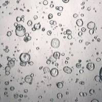 3dGRO® Pancreatic Organoids (OCIP.174)