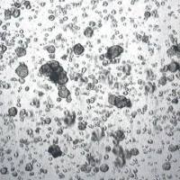 3dGRO® Colorectal Organoids (POP.066.G4)