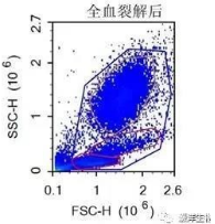 601002  PBMC高效离心管 15ml  5支/包