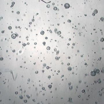 3dGRO® Colorectal Organoids (POP.160.G2)