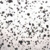 3dGRO® Colorectal Organoids (POP.161.G1)