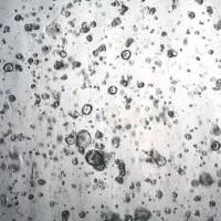 3dGRO® Pancreatic Organoids (PPTO.65)