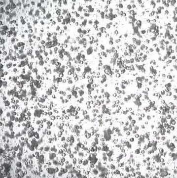 3dGRO® Colorectal Organoids (CSC.456)