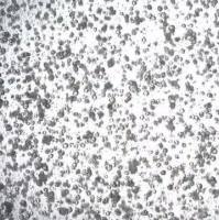 3dGRO® Colorectal Organoids (CSC.456)