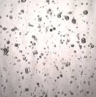 3dGRO® Colorectal Organoids (CSC.421)