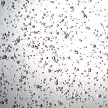 3dGRO® Colorectal Organoids (CSC.463)