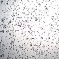 3dGRO® Colorectal Organoids (CSC.463)