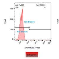 KELFlo™ Anti-FMC63 Antibody