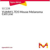 默克Merck YUMM1.7D5 Mouse Melanoma Cell Line