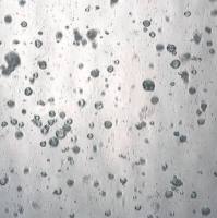 3dGRO® Colorectal Organoids (POP.170)