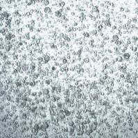 3dGRO® Colorectal Organoids (CSC.449)