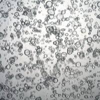 3dGRO® Pancreatic Organoids (OCIP.335)