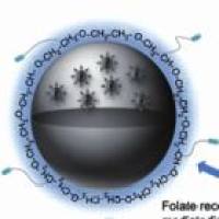 负载β-雌二醇的碳酸钙纳米颗粒被阿仑膦 酸钠修饰 E2@CaCO3 NPs-ALN
