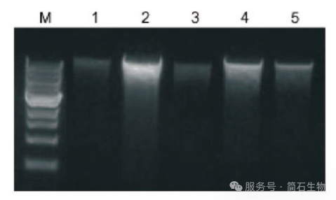 【高效提取】从“土”到“基因”，如何高效捕获环境中的“基因密码”
