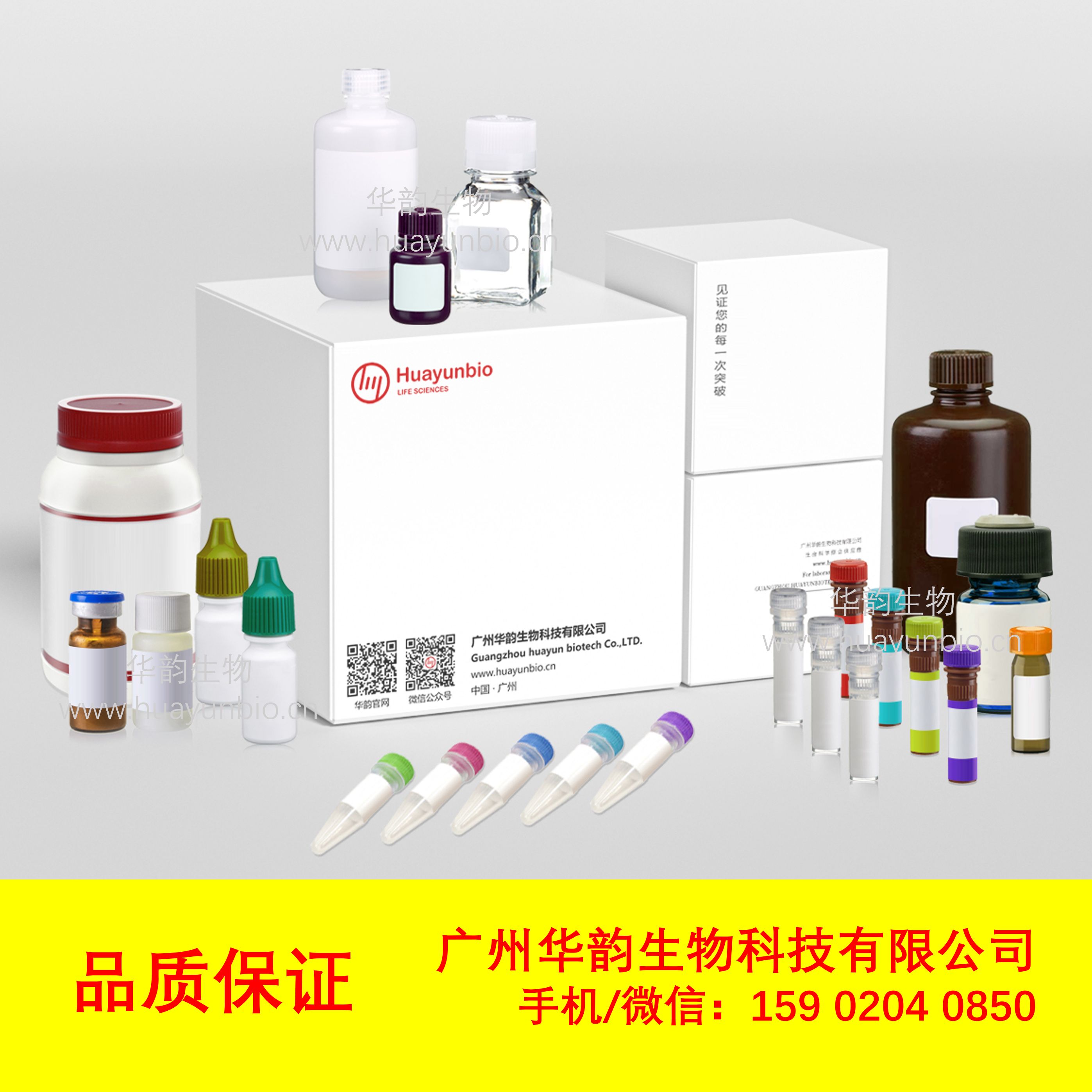 Buffer TE（DNase Free）试剂，TE-500