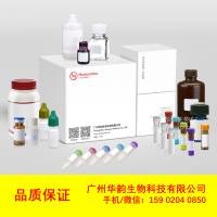 Buffer TE(DNase Free)试剂,TE-500