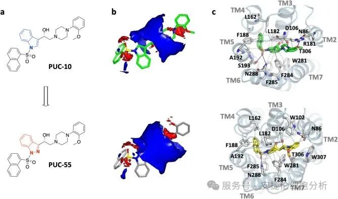 文献速递 | 解锁自噬新机制，探索神经疾病治疗新路径
