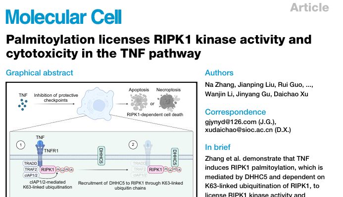 文献解读分享会（一）