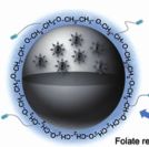 碳酸钙被氢化钯纳米颗粒包裹 CaCO₃@PdH