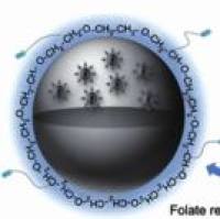 碳酸钙被氢化钯纳米颗粒包裹 CaCO₃@PdH