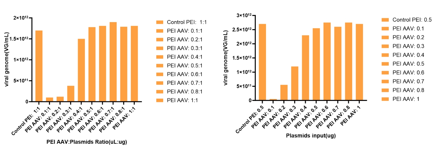 AAV实心率飙升200%！Hieff Trans新型基因递送系统，让病毒产能‘质变’突围
