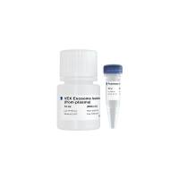 血浆外泌体提取试剂 VEX Exosome Isolation Reagent ( from plasma)(R603)