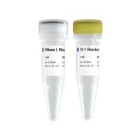 DNase I , RNase-free （EN401/EN402）