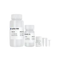 FastPure Viral DNA/RNA Mini Kit（快速提取高纯度的病毒DNA/RNA）（RC311）