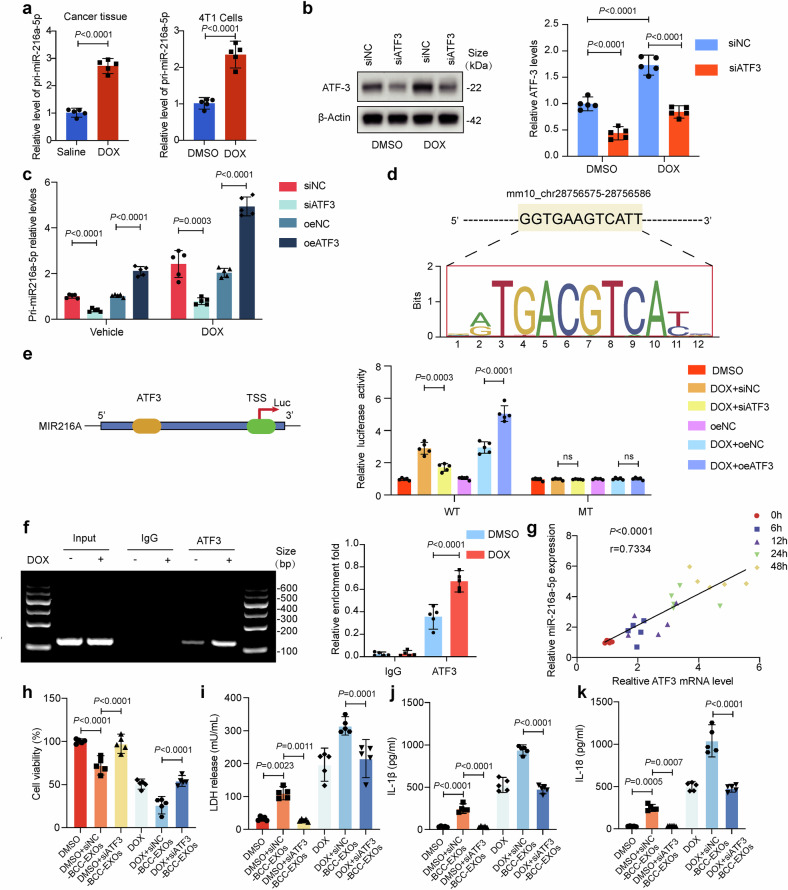 外泌体检测 外泌体检测