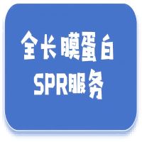 全长膜蛋白SPR服务
