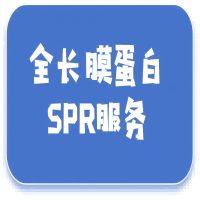 全长膜蛋白SPR服务