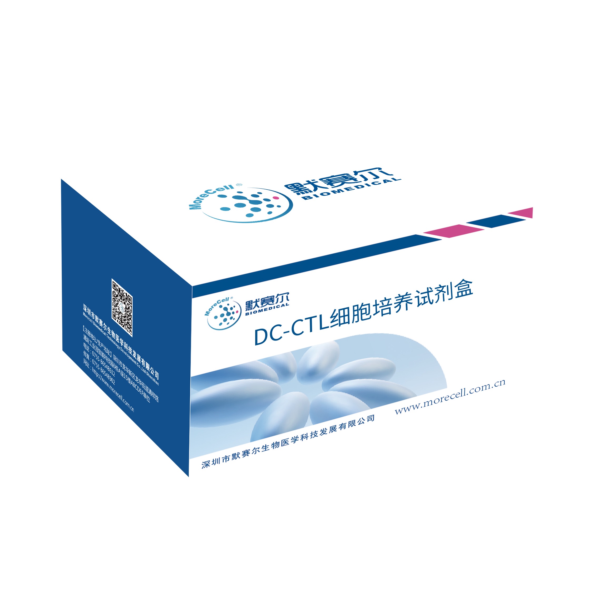 DC-CTL细胞培养试剂盒