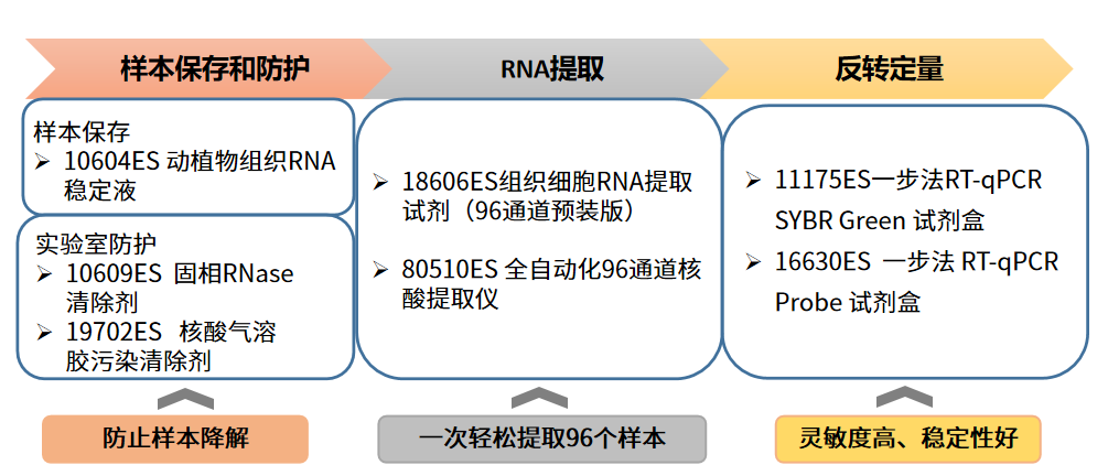 精品推荐 | 小核酸药物候选分子筛选解决方案