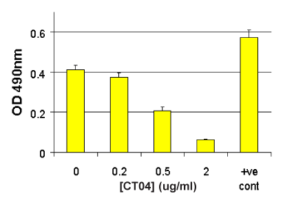 限时促销!Cytoskeleton明星产品直降15%,助您科研加速!