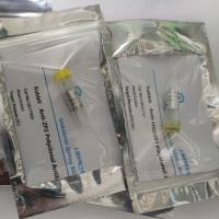 凋亡相关因子(FAS)活性蛋白,大鼠