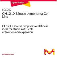 默克Merck CH12.LX Mouse lymphoma Cell Line