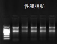 精品推荐 | 小核酸药物候选分子筛选解决方案