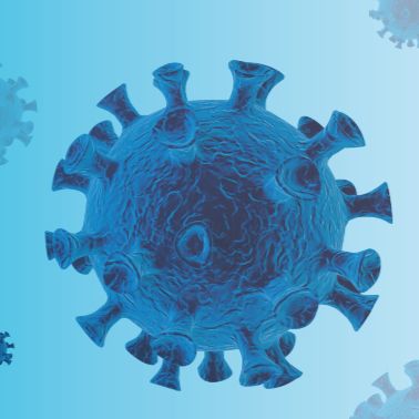 假病毒中和抗体检测服务